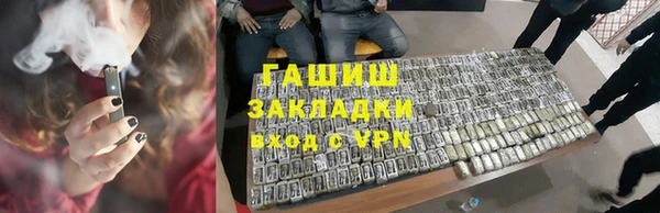 индика Богородицк