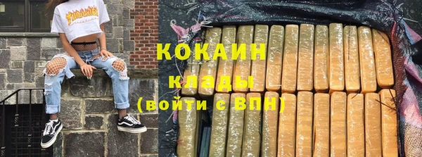 шишки Богданович