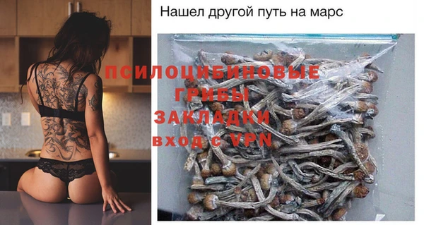 индика Богородицк