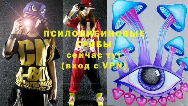 шишки Богданович