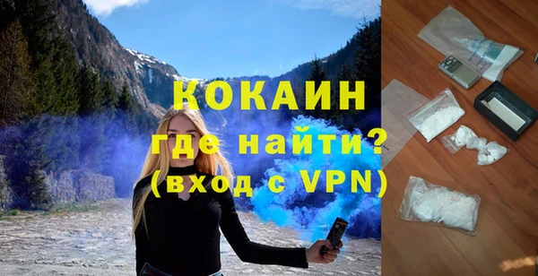 индика Богородицк