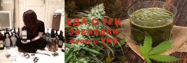 индика Богородицк