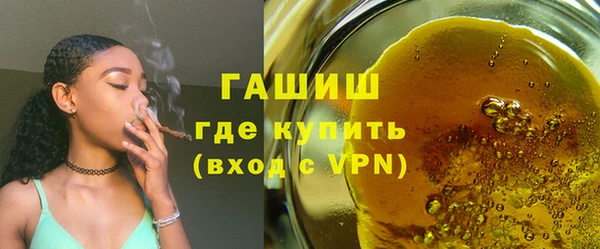 индика Богородицк