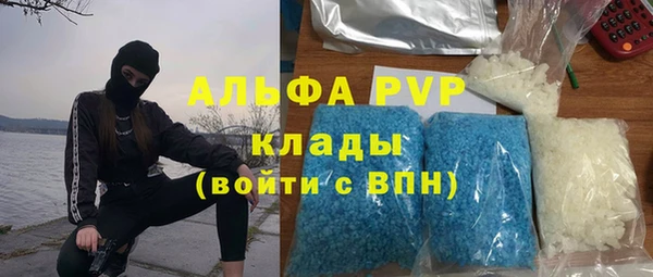 шишки Богданович