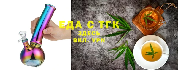 индика Богородицк