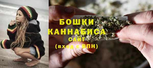 индика Богородицк