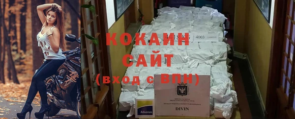 индика Богородицк