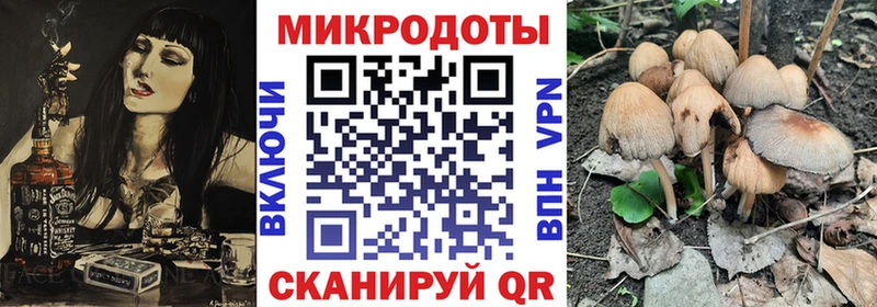 закладка  Константиновск  Галлюциногенные грибы Magic Shrooms 